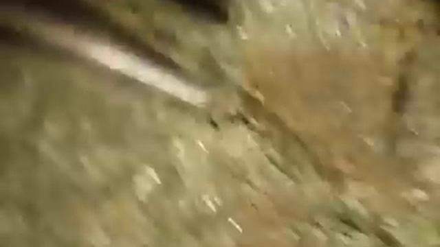 Чистка шабером под микроскопом смотреть онлайн