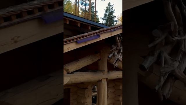 СРУБИЛ БАНЮ В ЗАПОВЕДНИКЕ смотреть онлайн