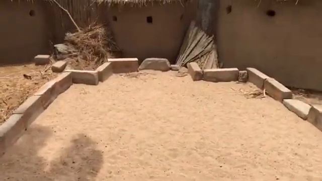 МЕЧЕТЬ В АФРИКЕ смотреть онлайн