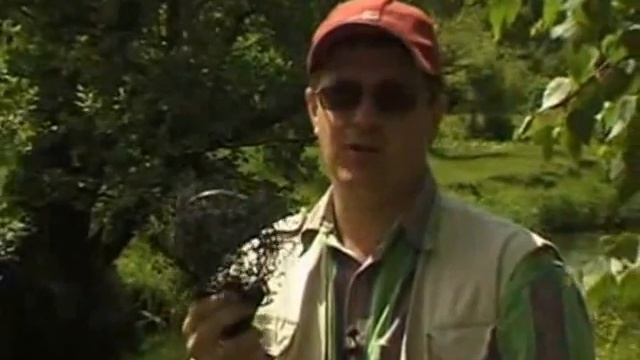 Подсачек для ультралайта смотреть онлайн