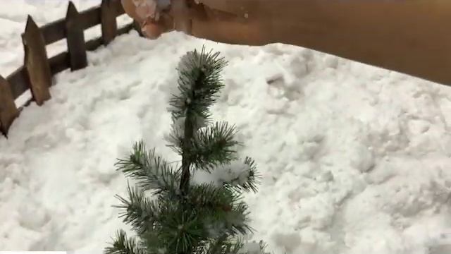 Как сделать искусственный снег смотреть онлайн