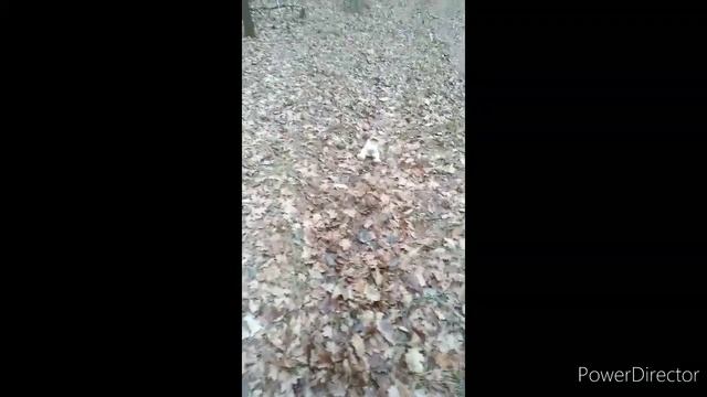 Чем опасны средства для мытья посуды? | Салли Олдер смотреть онлайн