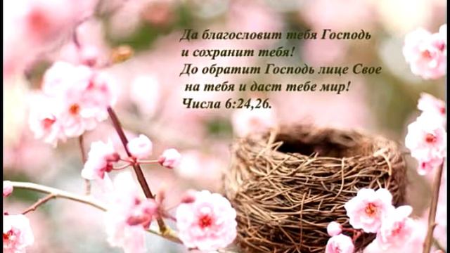 Тихий звук........ смотреть онлайн
