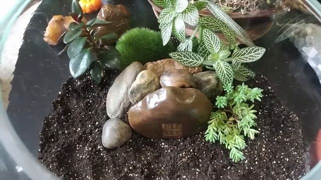 Флорариум для гномика:) смотреть онлайн