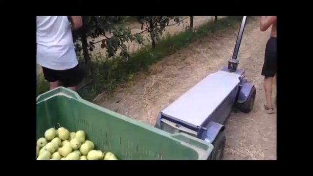 4-колесная грузовая тележка с электрическим приводом Zallys R4 смотреть онлайн