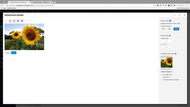 The WordPress Media Library смотреть онлайн