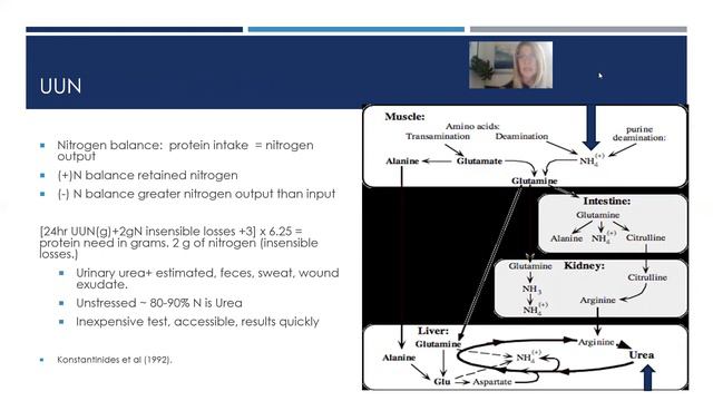 Respiration, Wound Obtained Botulism, TUN, UUN, Protien provision смотреть онлайн