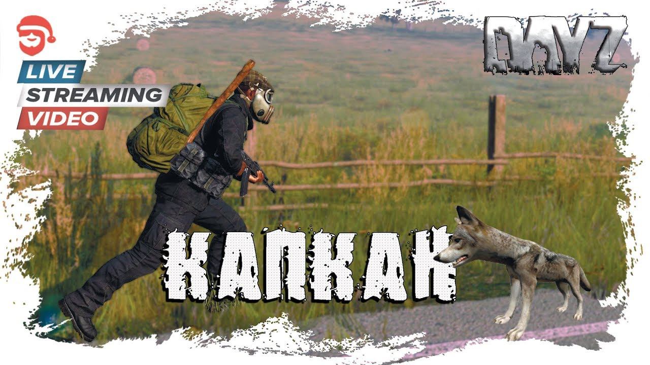 Капкан [DayZ]