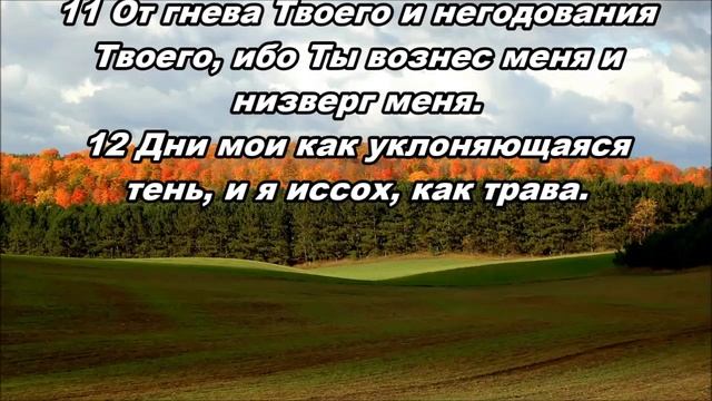 Тихое время с Живой Жизнью: Псалтирь 101:1–12 (14102018) смотреть онлайн