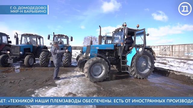 07.04.2022 Домодедово. Главные события смотреть онлайн