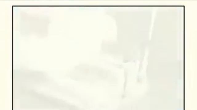 Брошюровщик Renz SRW 360