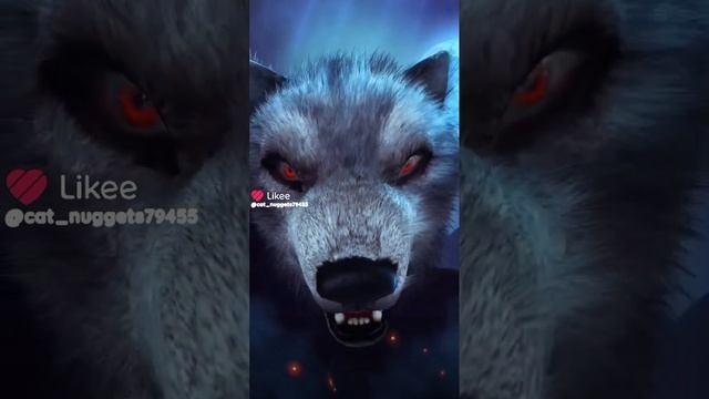 Андрей Николаевич