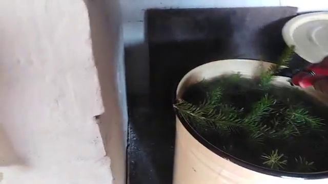 тонизирующая подкормка для пчёл