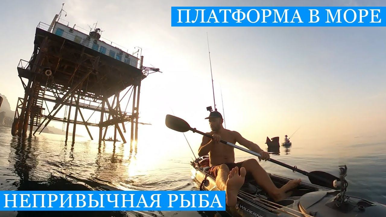 Чёрное Море и Чёрная Речка - РЫБАЛКА и ПРИКЛЮЧЕНИЯ!)) Новые впечатления, добыча и живность!! смотреть онлайн