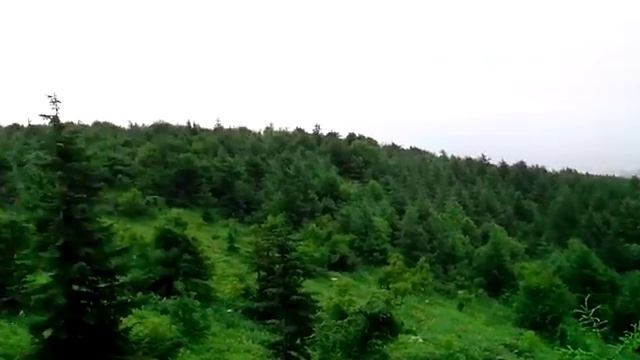 В поисках башмачка часть 1 смотреть онлайн