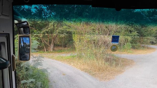 Путешествие по Бангкокскому Сафари парку на автобусе | львы тигры 2 часть смотреть онлайн