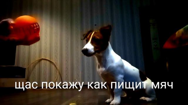 играю с Джеком КУПИЛА НОВЫЙ МЯЧИК ПОД ЛЮБИМЫЙ ЦВЕТ ДЖЕКА смотреть онлайн