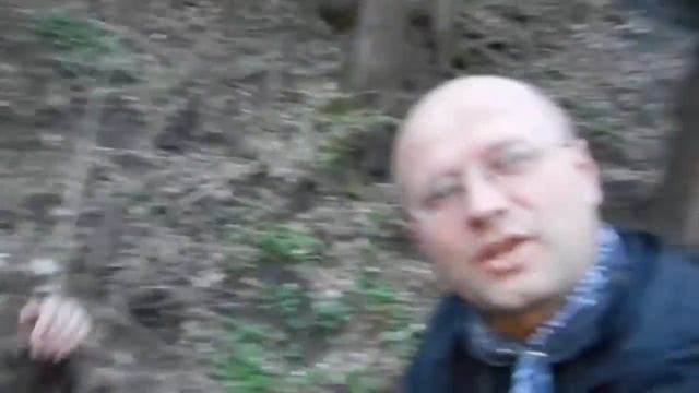 Sauerklee, in kleinen Mengen essbar смотреть онлайн