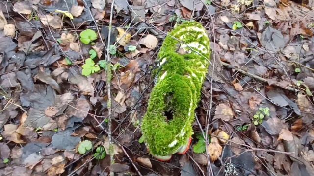 Чага - собрал, высушил, заварил. Лес в ноябре. смотреть онлайн