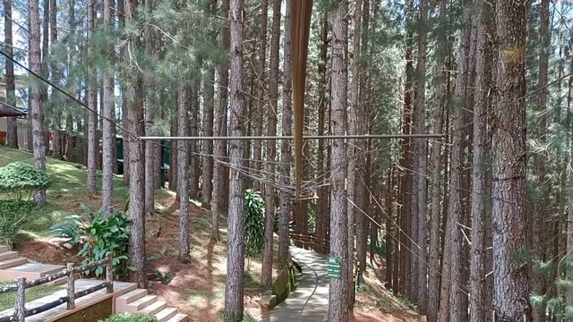 PHYTON ROLLER ZIPRIDE AT DAHILAYAN ADVENTURE PARK ZIP, RATTLE, ROLL, DROP, SWING, BOUNCE 500 METERS смотреть онлайн