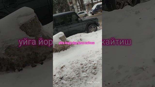 Барча мусофирлар орзуси болса керак уйига йоруг йуз Блан кайтиш инщааллах смотреть онлайн