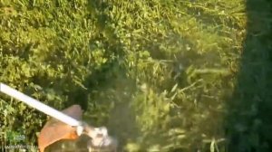 STIHL FS 250. Пример работы. Моторизованная бензокоса от Штиль
