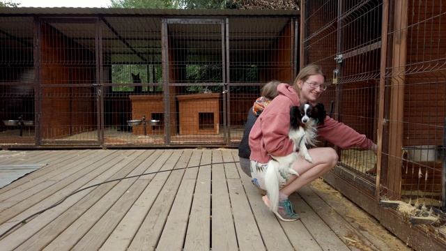 Ника и ее пес Рей породы Папийон у нас в гостях смотреть онлайн