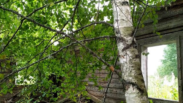 ЗАБРОШЕНО И УТРАЧЕНО. смотреть онлайн