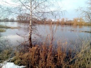 Паводок на Сосне 2018 день второй