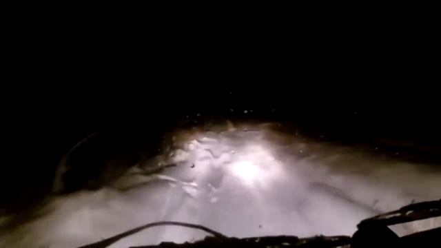 20 НЕИЗВЕСТНЫХ СУЩЕСТВ СНЯТЫХ НА КАМЕРУ! Часть 2