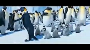 Марийский танец пингвинятMusVid net