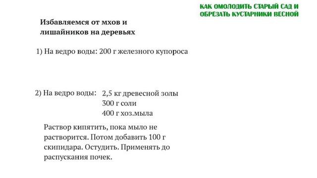 Мхи и лишайники плодового дерева Как омолодить деревья Часть 10 смотреть онлайн
