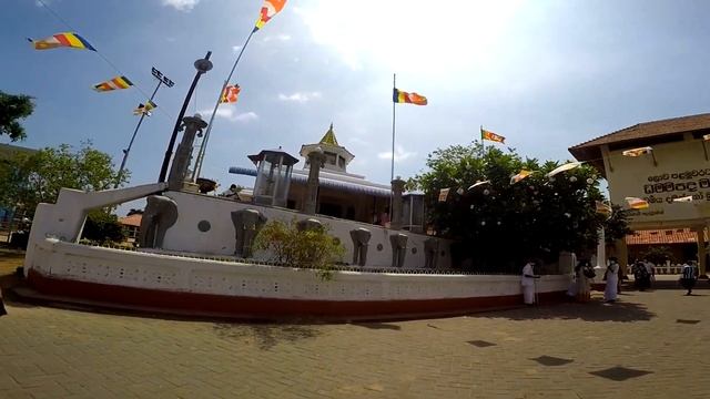 #38 | Черепашата на волю | Хирикетия | Храм в праздник | Обзор тук-тука | Шри-Ланка с детьми 2022 смотреть онлайн