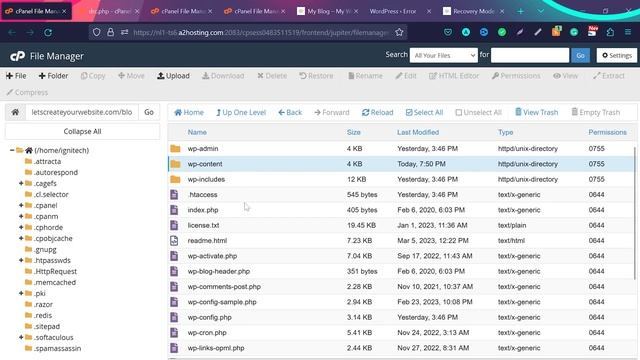 Fix - There Has Been A Critical Error On this Website | Critical Errors - WordPress (100% Solution) смотреть онлайн