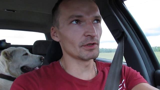 Соседская сущность дачников - будь они не ладны) смотреть онлайн