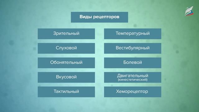 Рефлекторная деятельность нервной системы смотреть онлайн