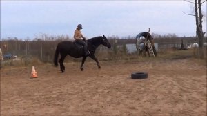 Как сидеть на рыси в седле  (Рысь: урок 4)