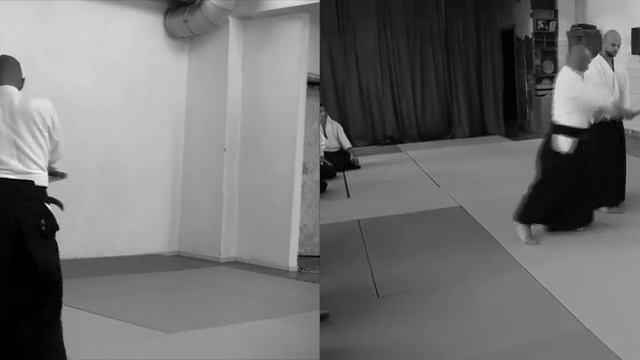 12 Aihanmi furikaburi & kiriage ura iriminage TD KT KK