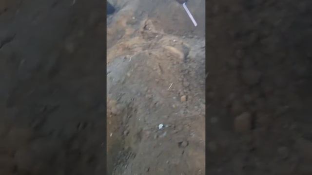 My dirt spa смотреть онлайн