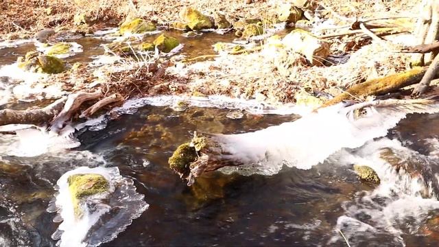 Затерянный Рай . The Lost Paradise . Уссурийская тайга . Пешая прогулка . Hiking . Canon 80 D . смотреть онлайн