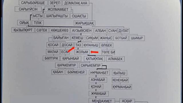 КУНАЕВ Д. А. ВОЗМОЖНО ИЗ РОДА ТАЗ МЛАДШЕГО ЖУЗА И ПОТОМОК ДЖУЧИ ХАНА ЗОЛОТОЙ ОРДЫ смотреть онлайн
