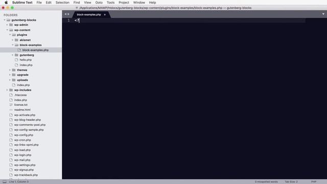Lesson 8: Creating a WordPress Plugin смотреть онлайн