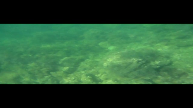 Сентябрьское погружение - Под водой 2. смотреть онлайн