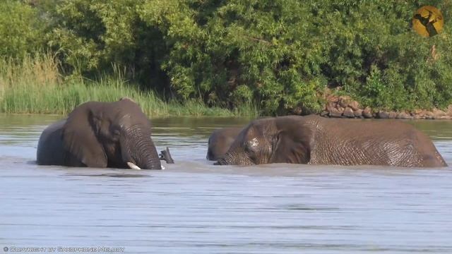 Top 500 Romantic Saxophone Love Songs ~ Soft Relaxing Saxophone Melody For Love ~ Background Music