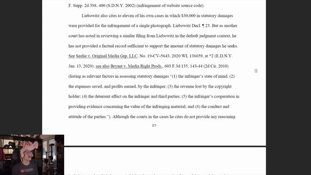 Judge Calls Liebowitz Out for Ridiculous Damages Request! смотреть онлайн