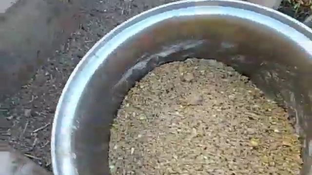 Белок для кур ??? ферментация зерна ?? смотреть онлайн