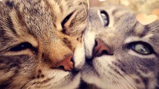 Песня новинки лета. Улетная! Это стоит послушать! смотреть онлайн