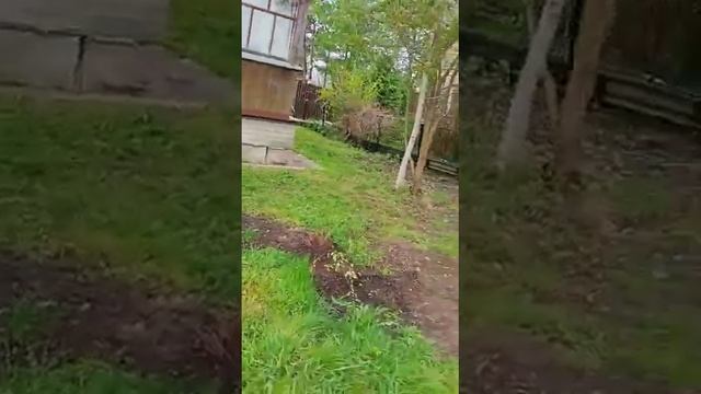 Дача в Подмосковье. Установили лестницу, отсыпали песком, прикрутили отливы смотреть онлайн