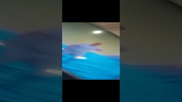 VID_20230212_181248.mp4 смотреть онлайн