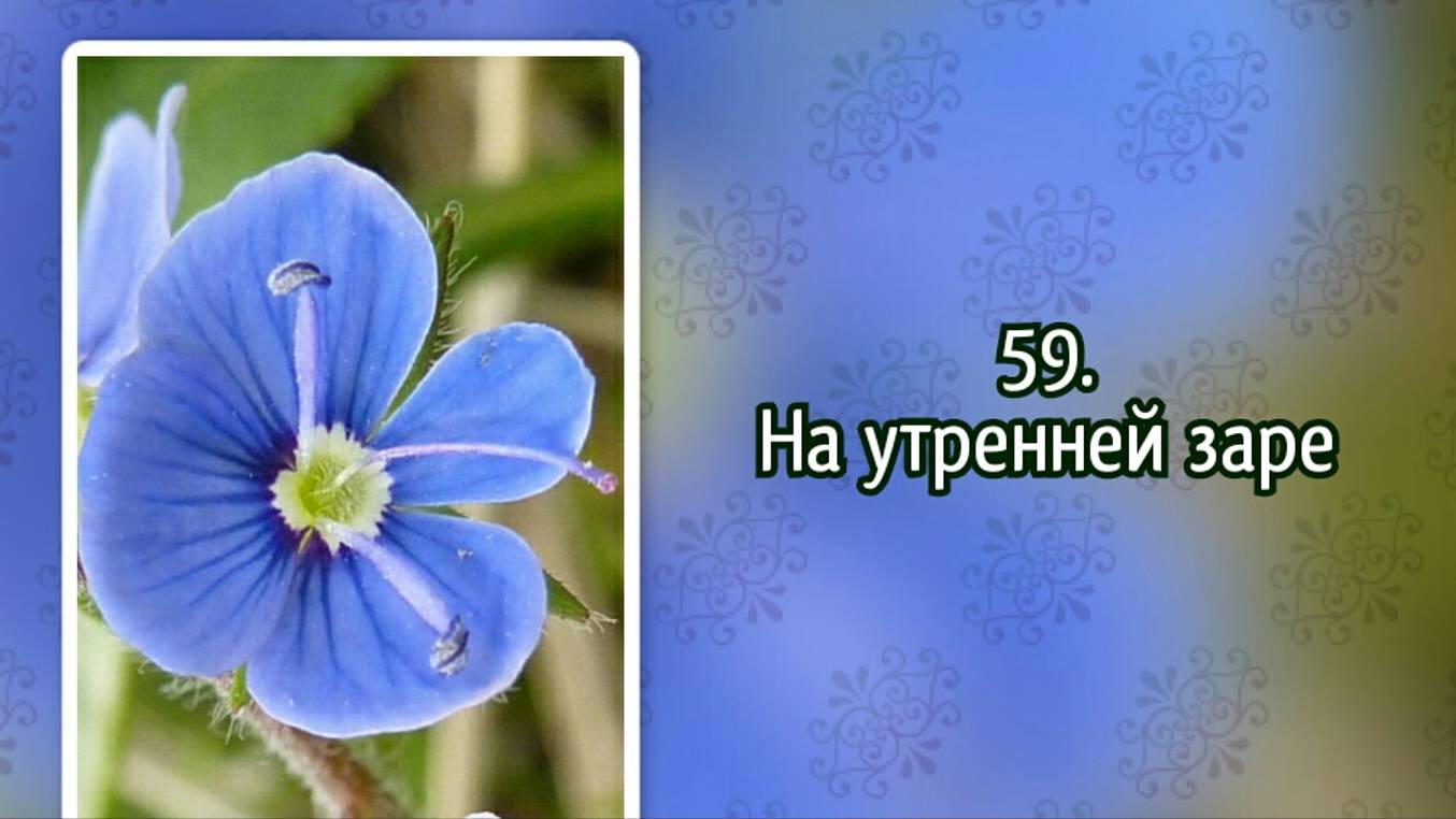 Гимны надежды 59 На утренней заре (-) смотреть онлайн